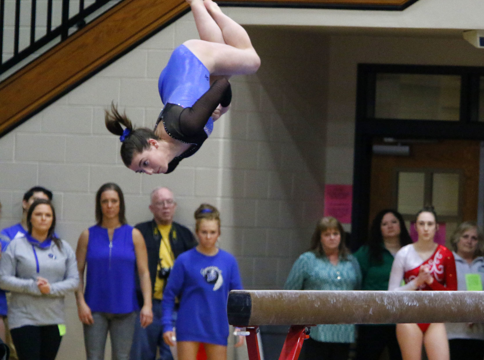 Gallery: Gymanstics state finals